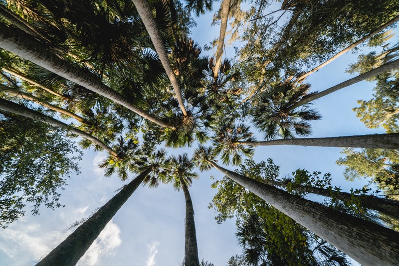 Test Samyang 14mm f/2.8 en voyage